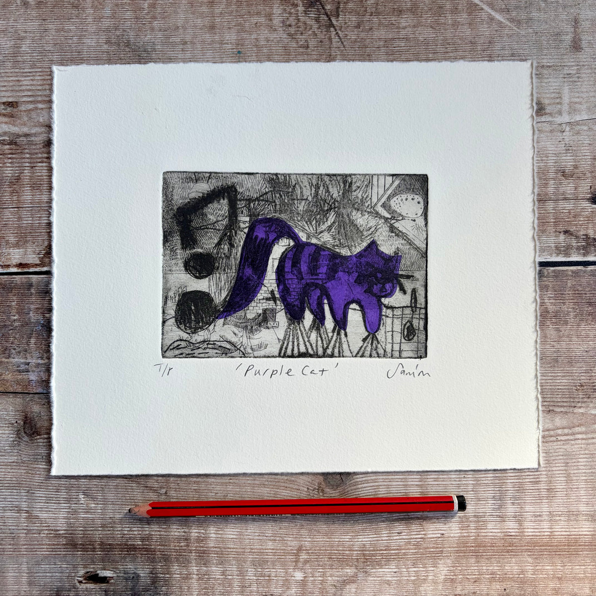 Purple Cat