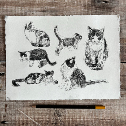 Collection of cats - test print 5