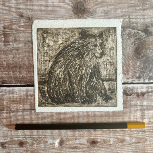 Yosemite Bear