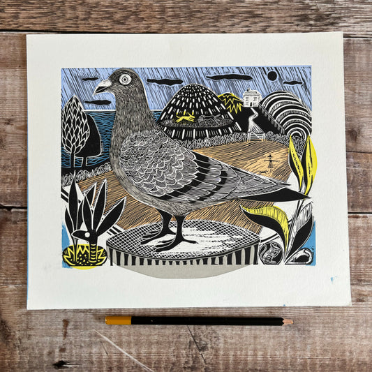 Pigeon