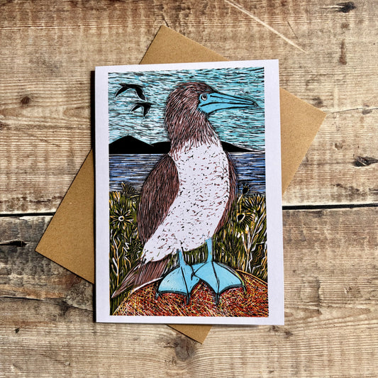 Blue Footed Booby