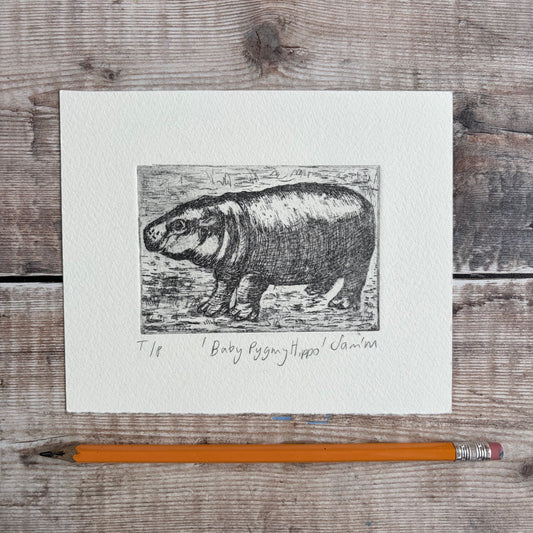 Baby Pygmy Hippo