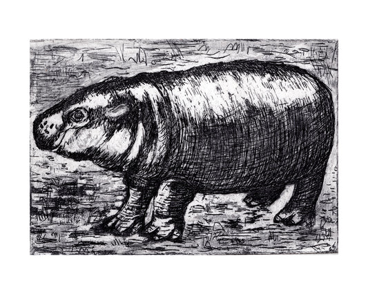 Baby Pygmy Hippo