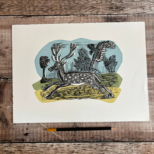 Deer
