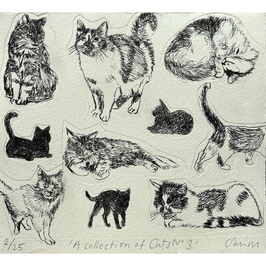 Collection of Cats no 3