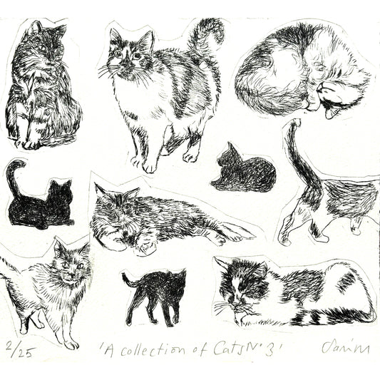 Collection of Cats no 3