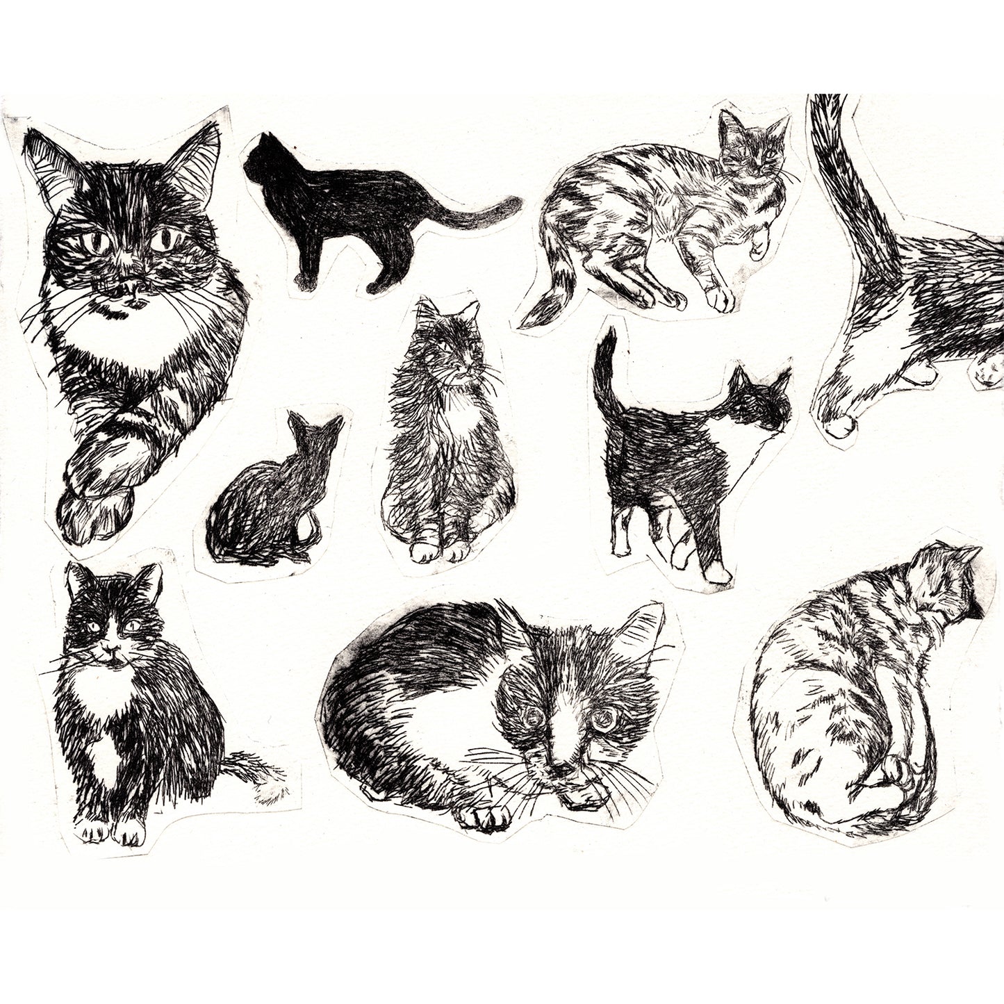 Collection of Cats No 2