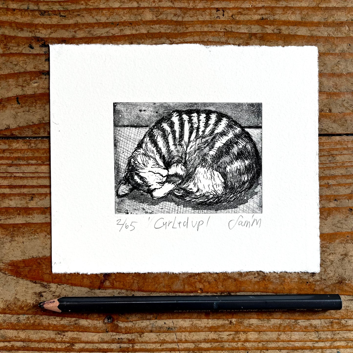 Advent treat Day 1 - 'Curled up'