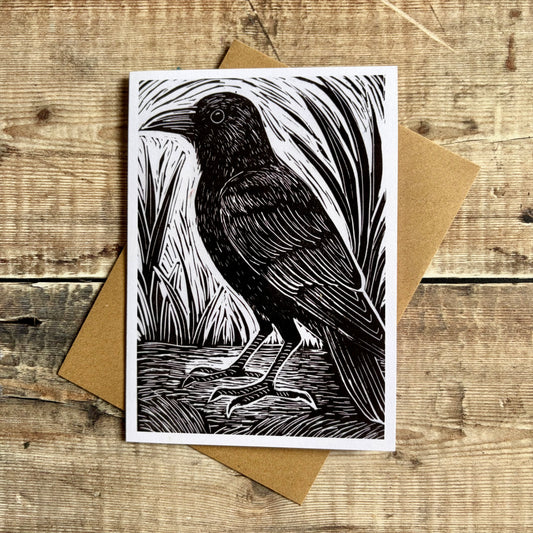 Crow