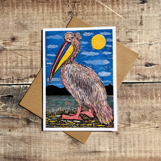 Pelican
