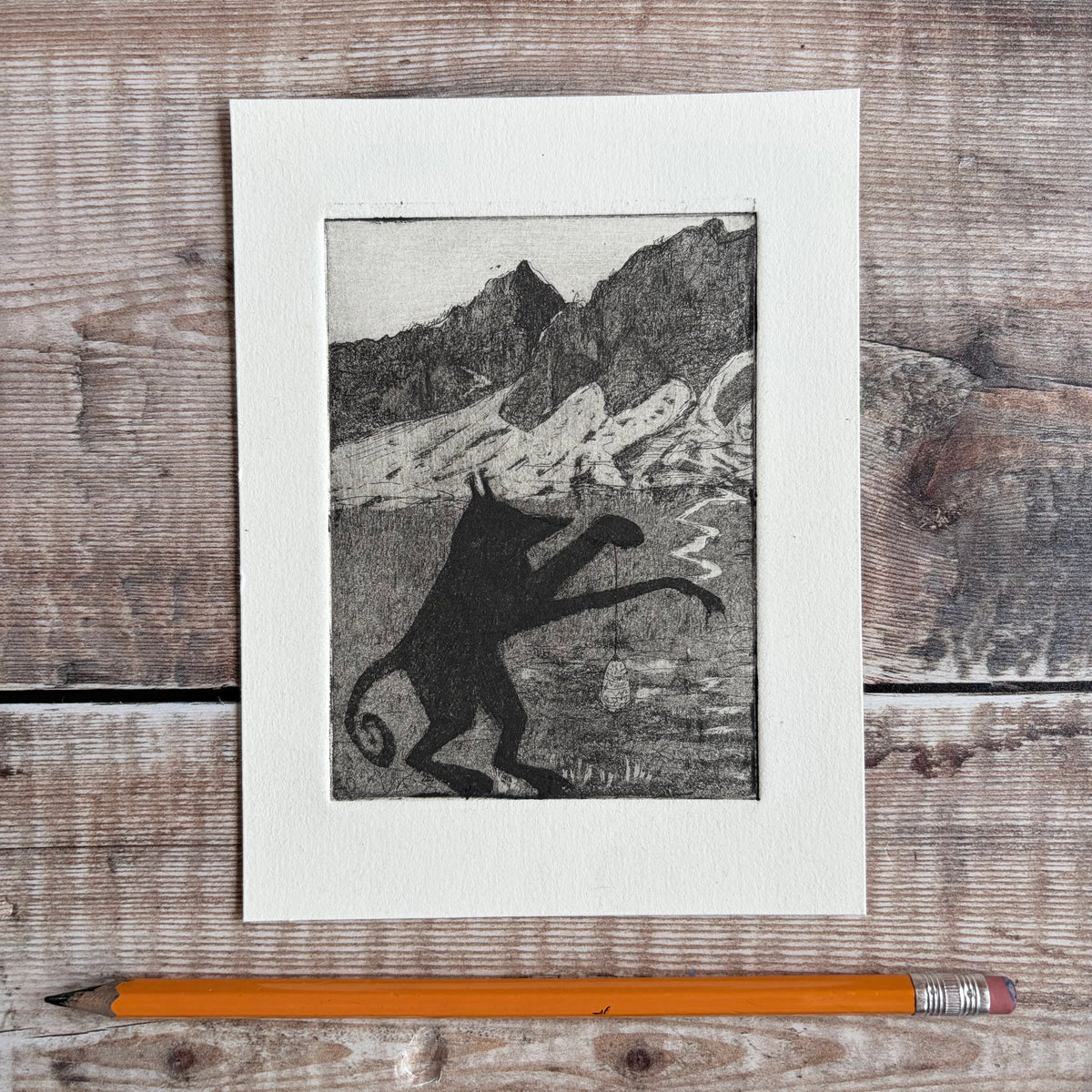 Mountain Bear