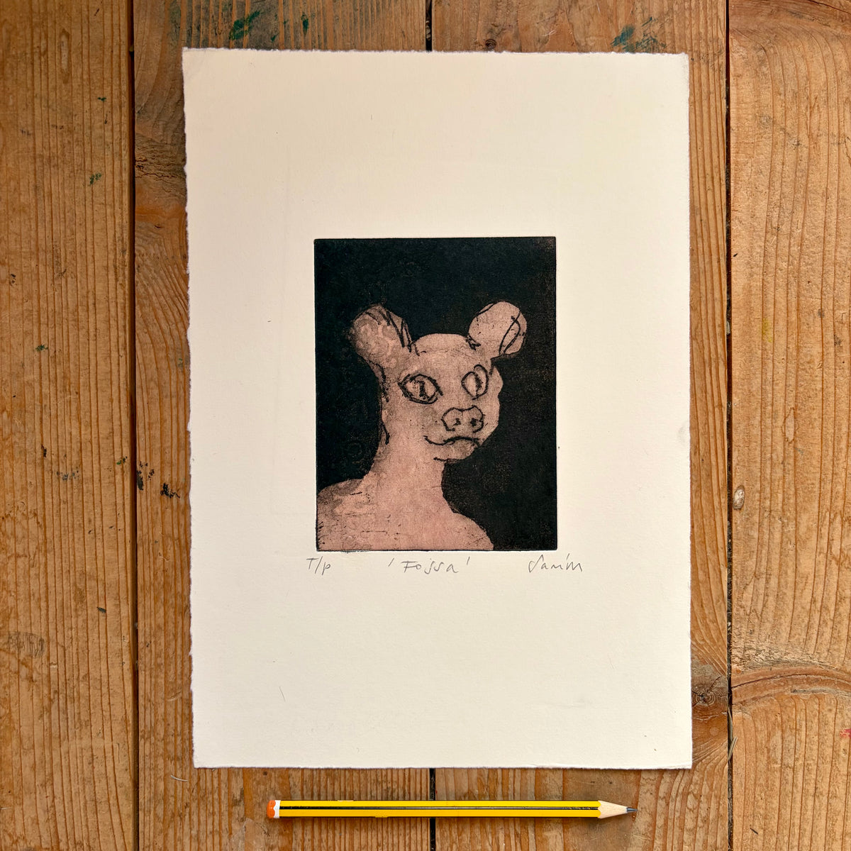 Fossa