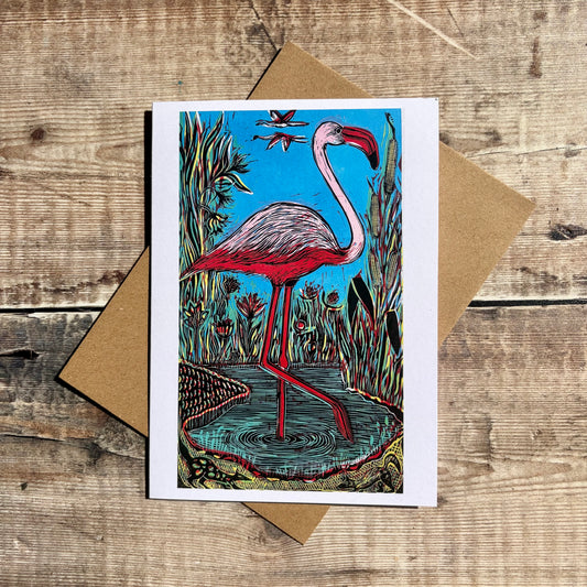 Flamingo