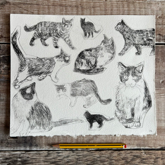 Collection of cats - test print 10