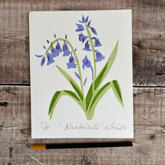 Bluebells II