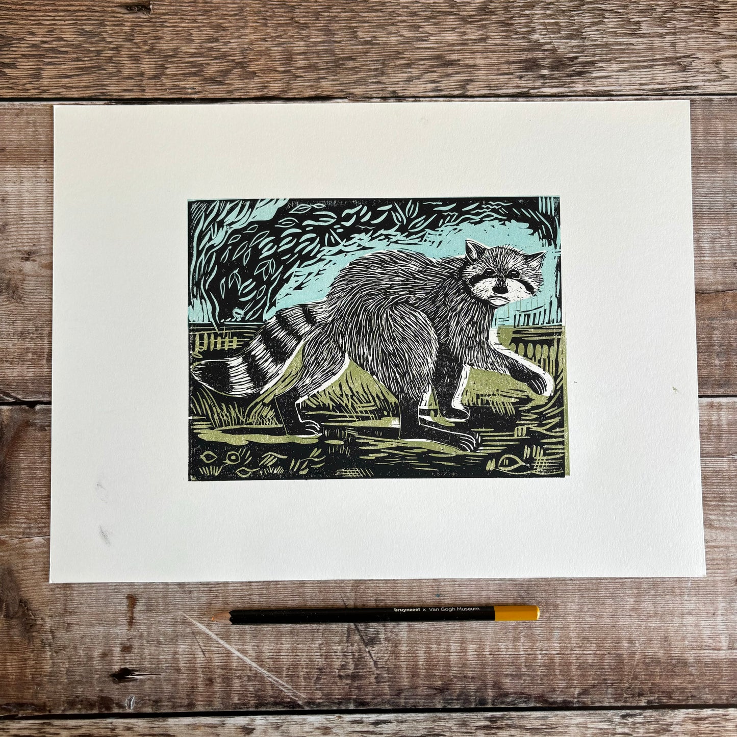 Raccoon = editioned print 1/2 price