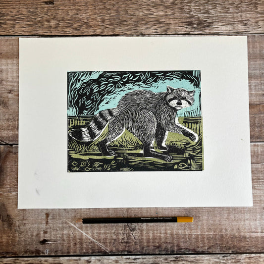 Raccoon = editioned print 1/2 price