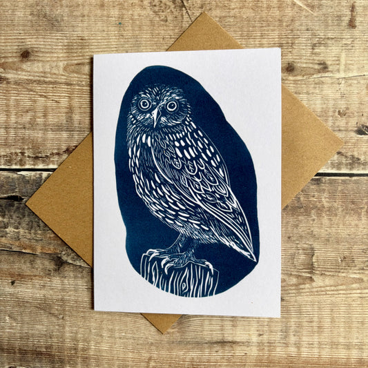 Owl