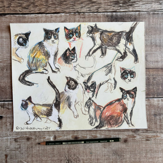 Tom cat drawing