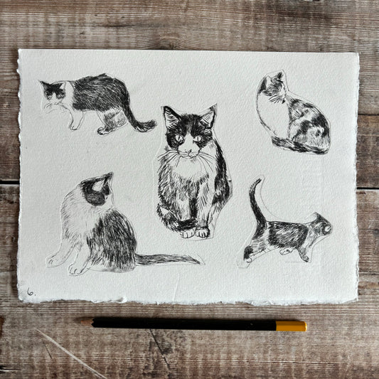Collection of cats - test print 6