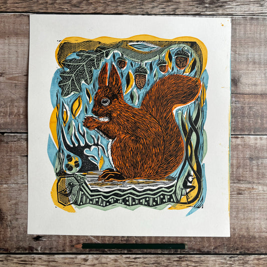 Red squirrel