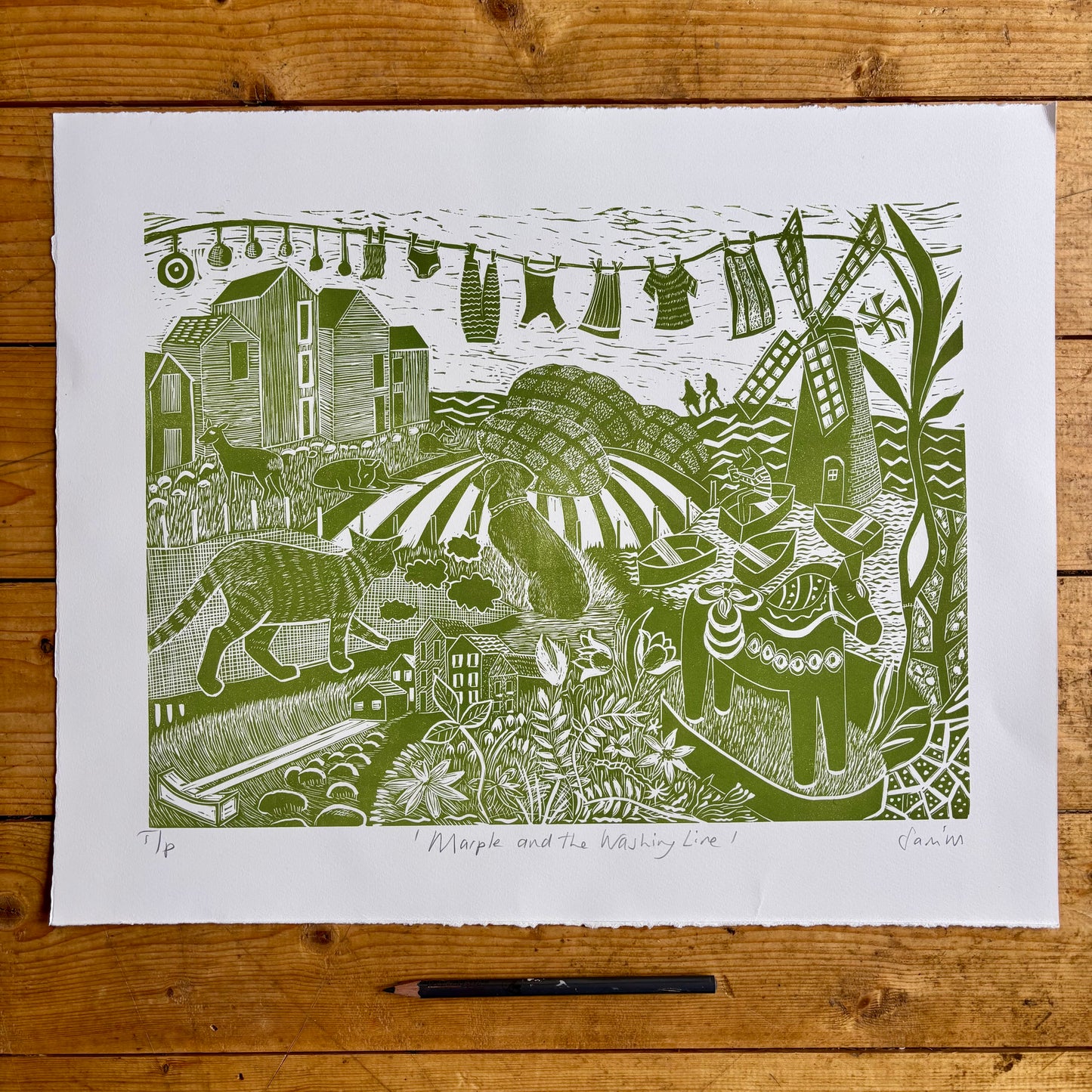 Marple and the Washing Line