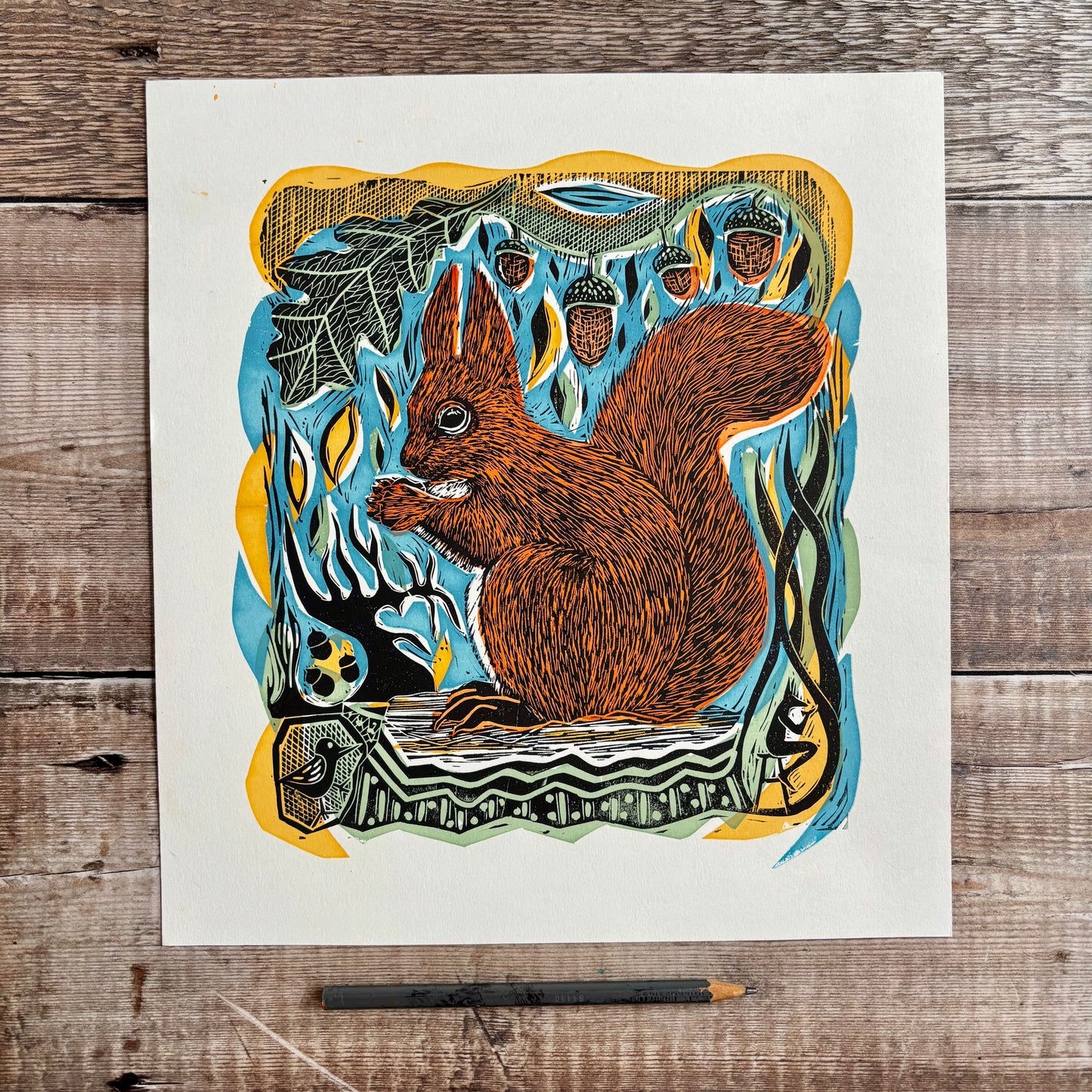 Red Squirrel