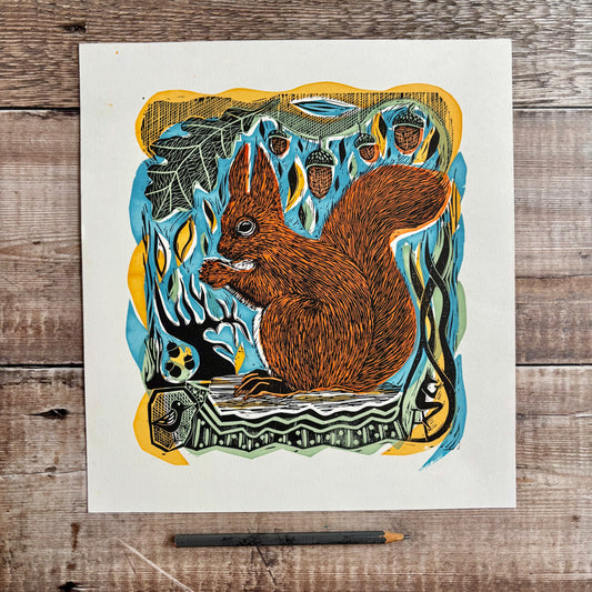 Red Squirrel