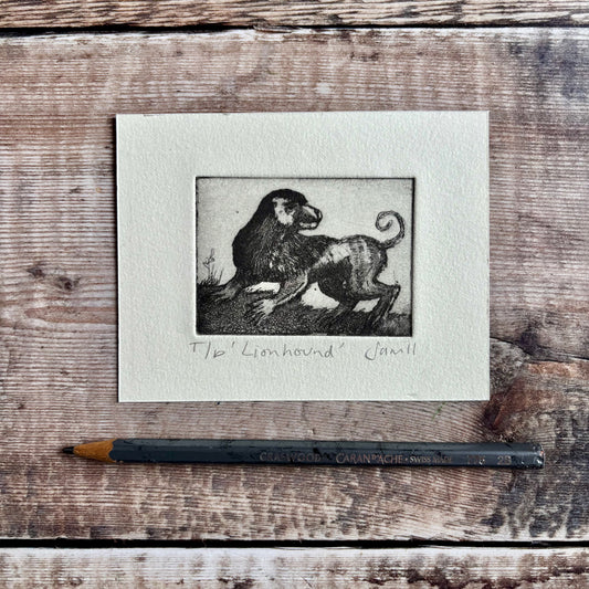 Lionhound