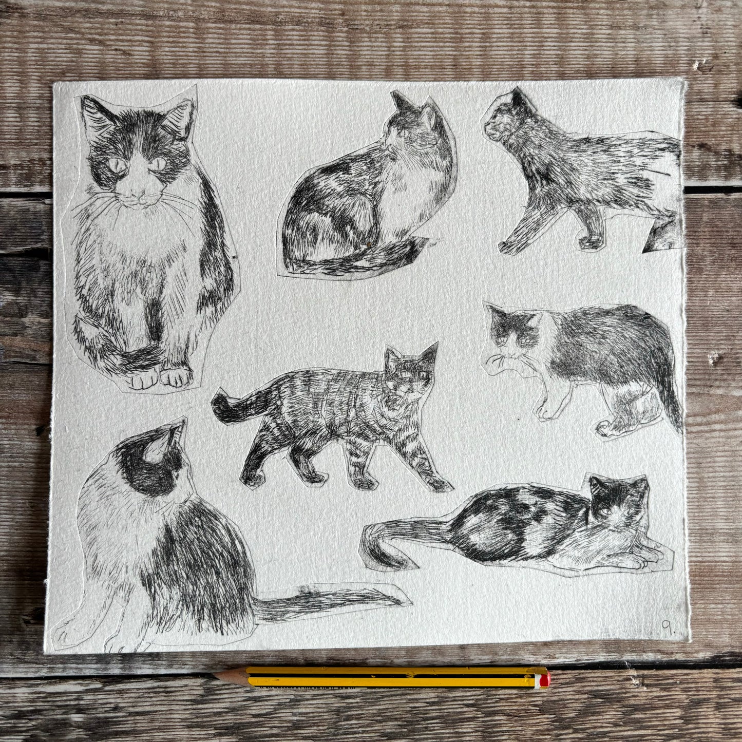Collection of cats - test print 9