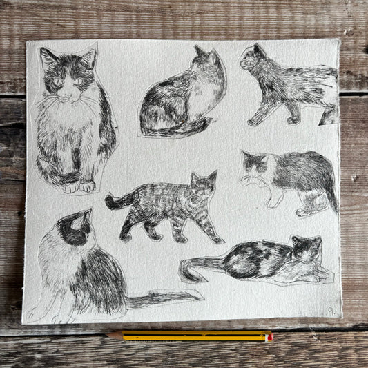 Collection of cats - test print 9