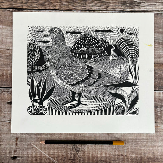 Pigeon - black and white