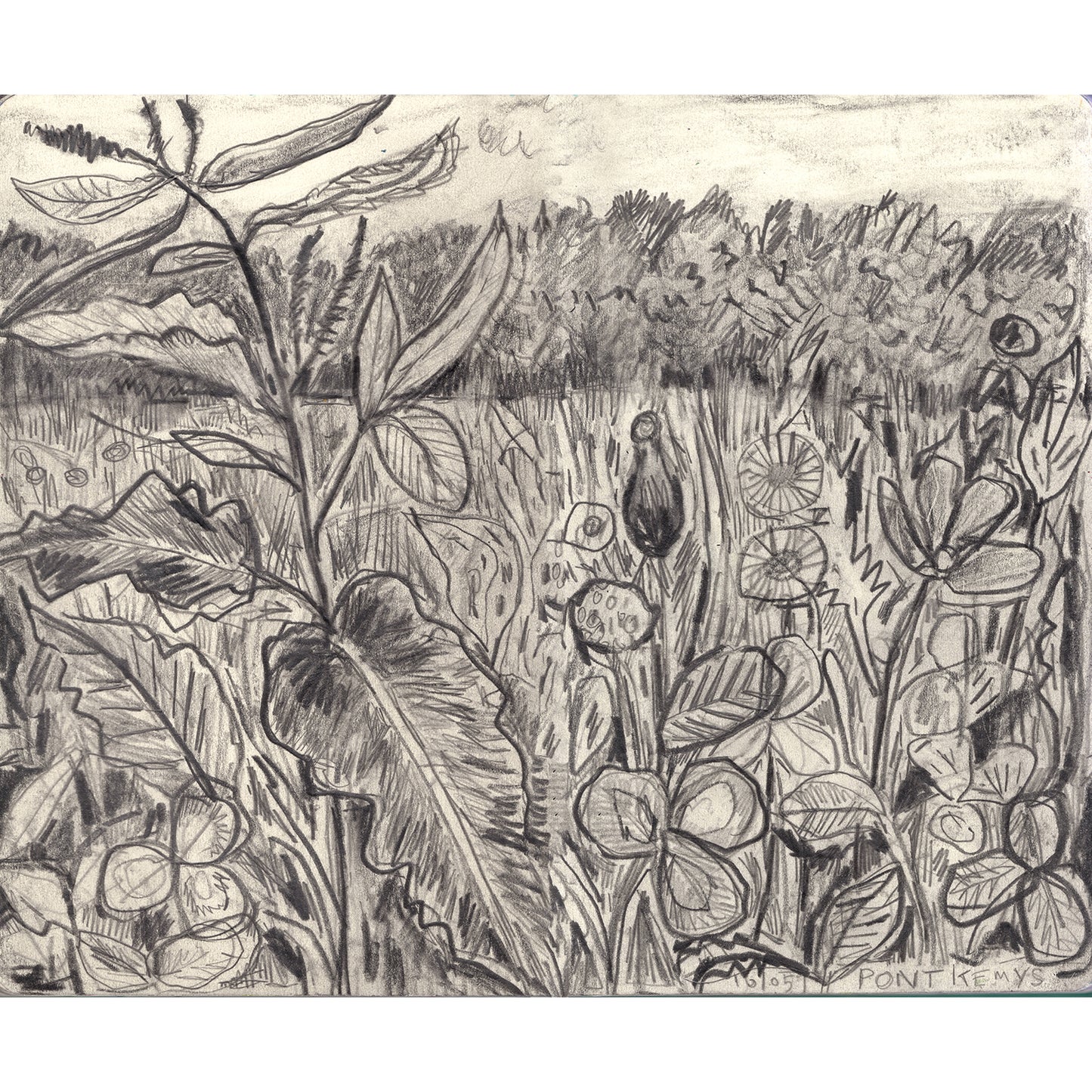 Meadow in Pont Kemys , Wales pencll