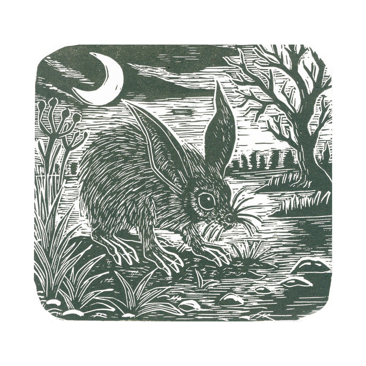 The Night Forager