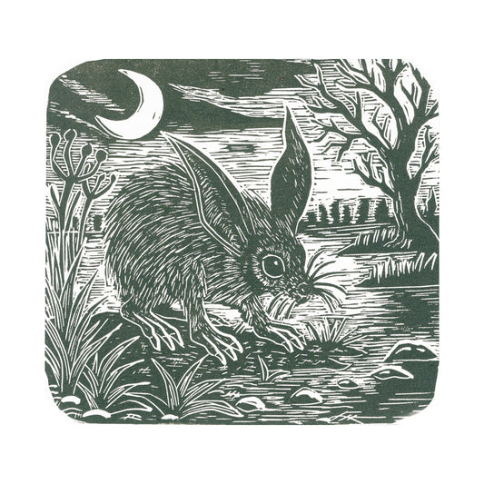 The Night Forager