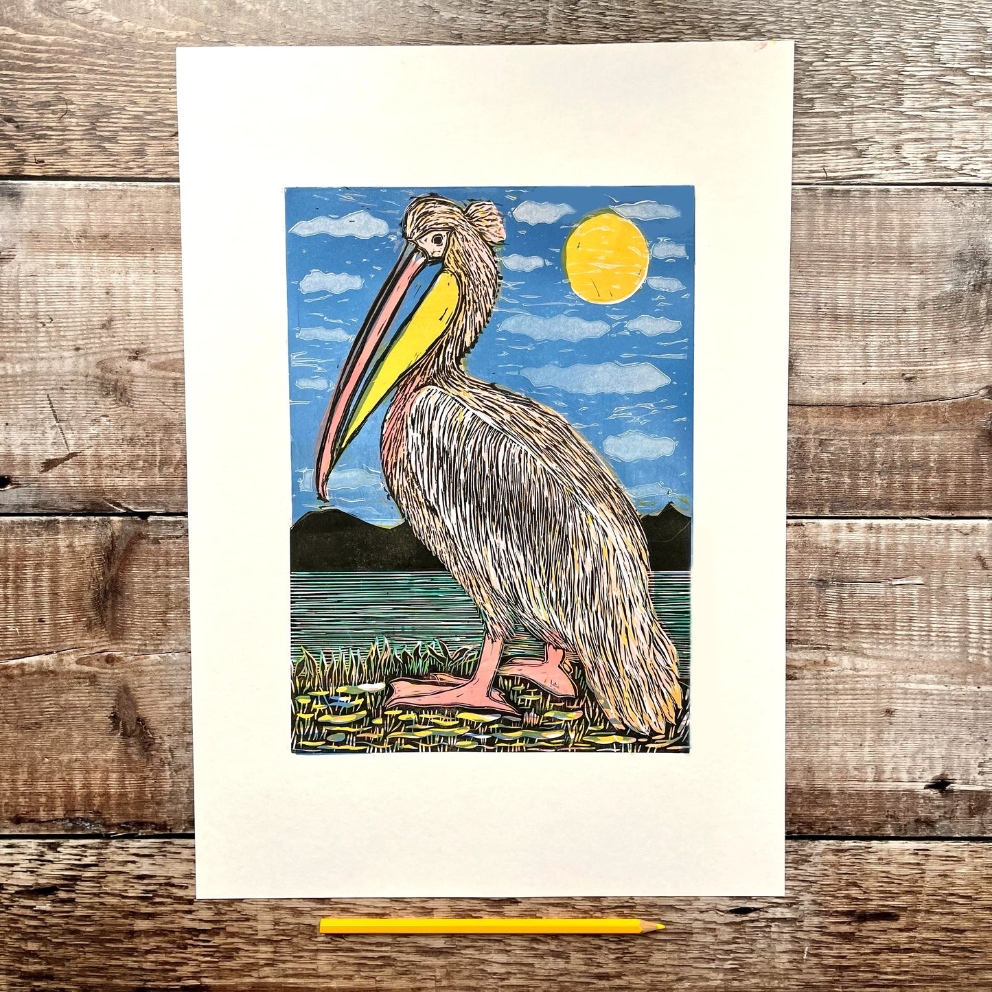 Pelican