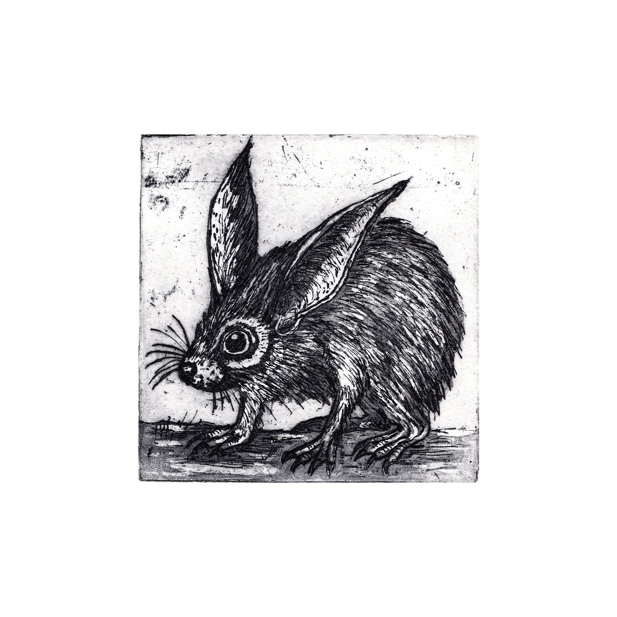 The Night Forager