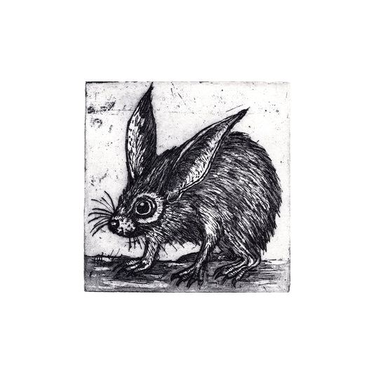 The Night Forager