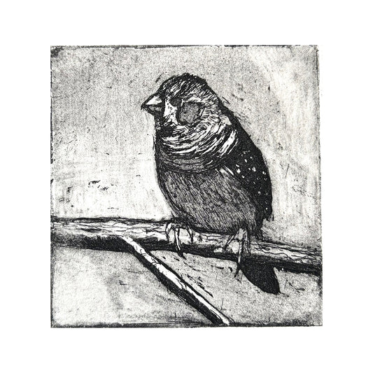 Day 8 Advent Treat - Zebra Finch