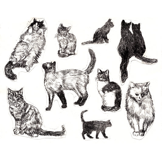 Collection of Cats no 4