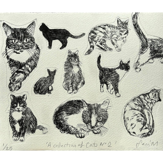 Collection of Cats No 2