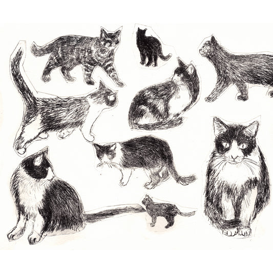 Collection of Cats No 1