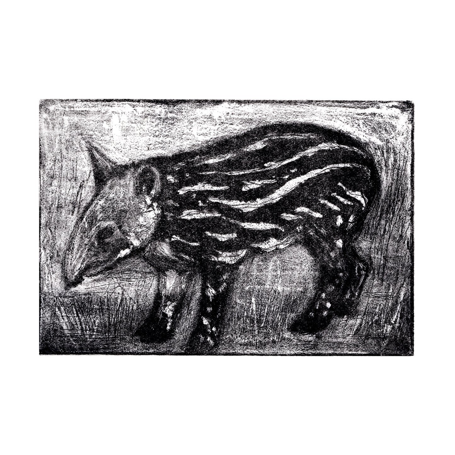 Baby Tapir