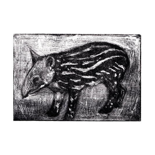 Baby Tapir